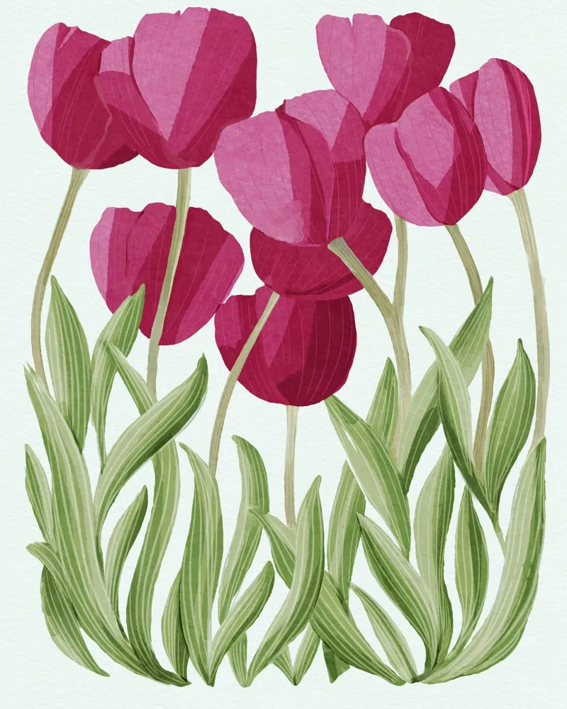 Tulipani carta hahnemühle da Pictufy Sun & Spirit
