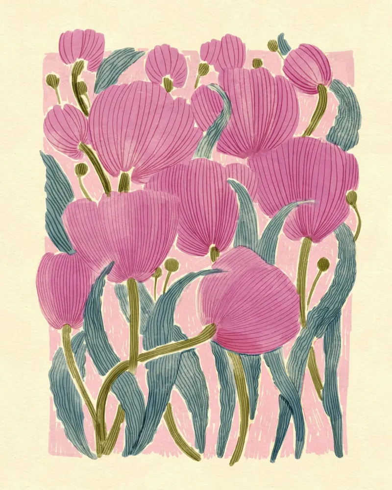 Tulipani carta hahnemühle da Pictufy Sun & Spirit