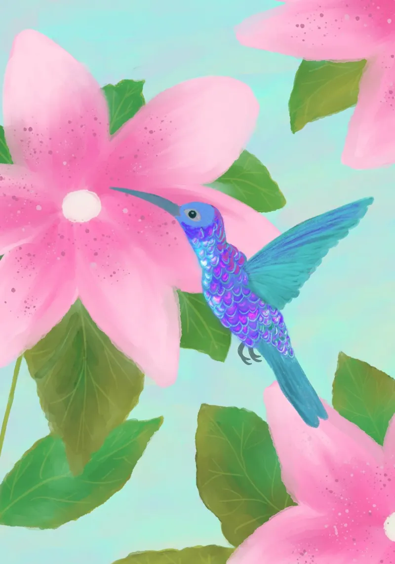 Colibrì carta hahnemühle da Pictufy Sun & Spirit