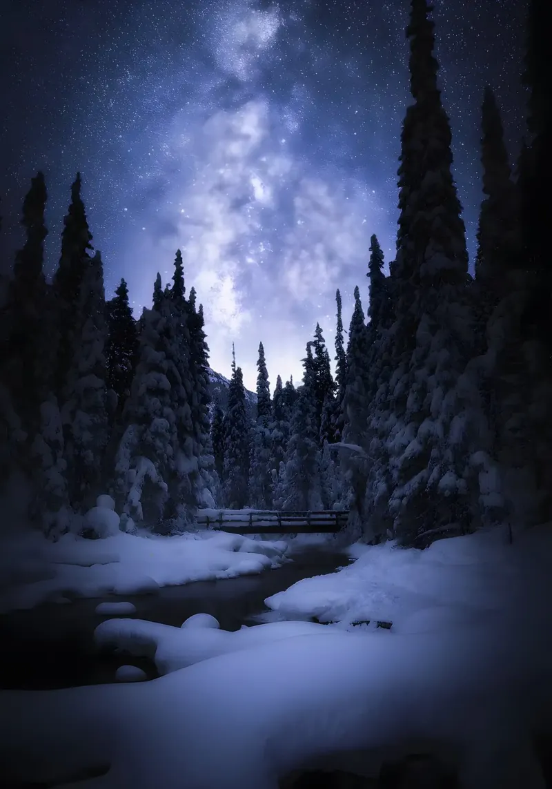 Sogno o realtà poster da Aara