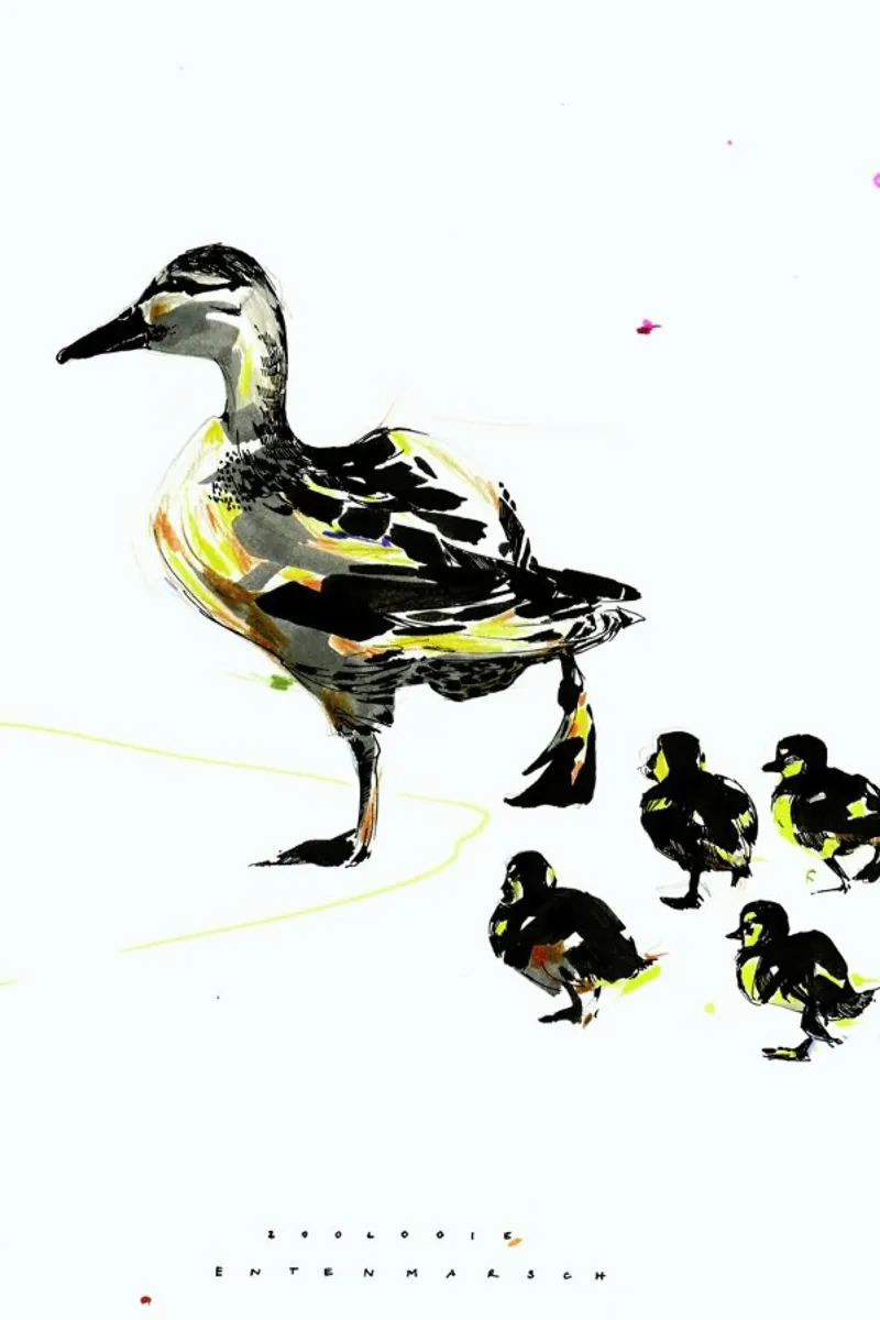 Ducks pellicola backlit da Mala Alani