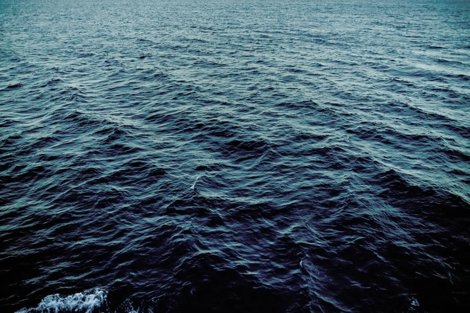Sea II alluminio dibond da Sebastian Hilgetag