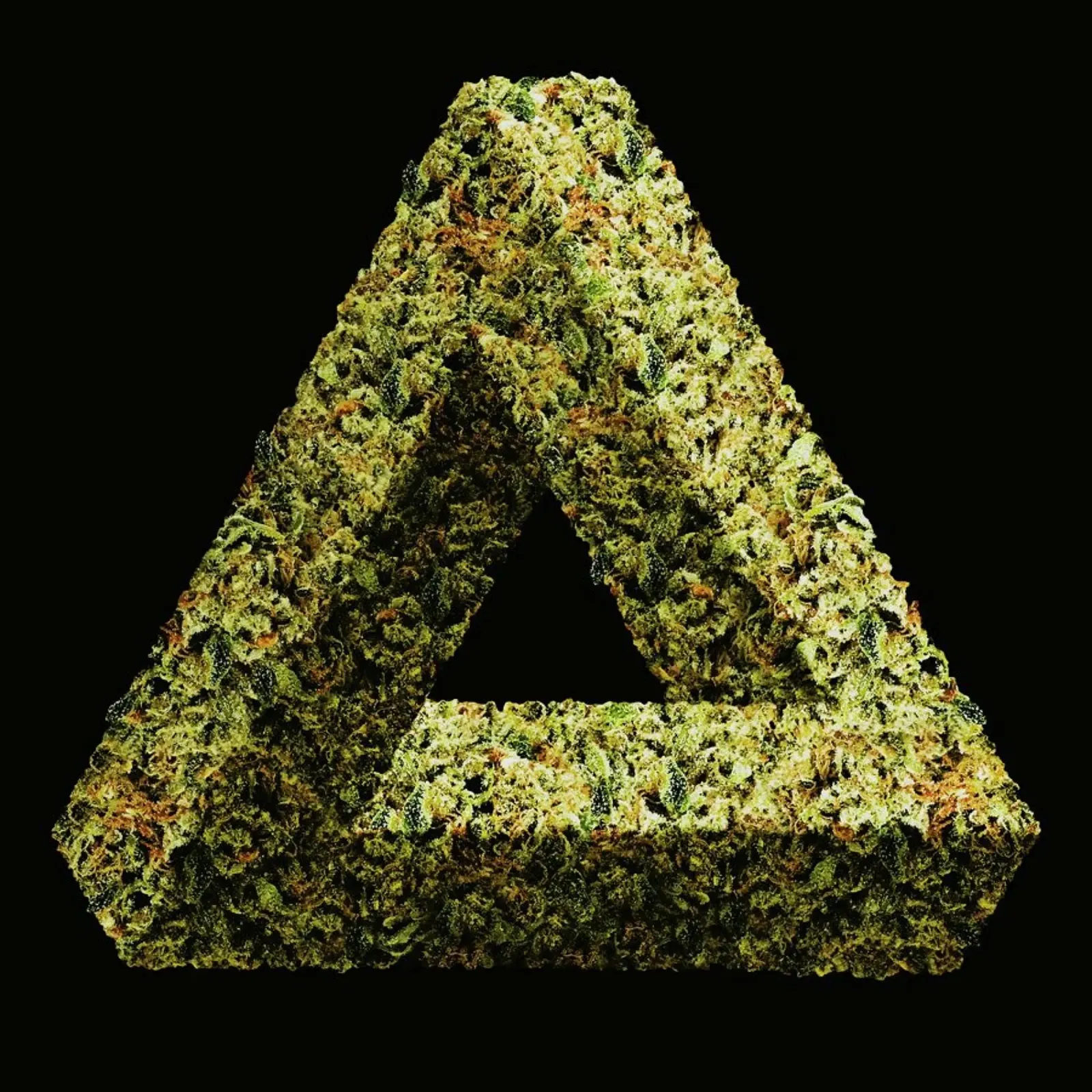 Weed Penrose Triangle poster con telaio in alluminio da suckertom