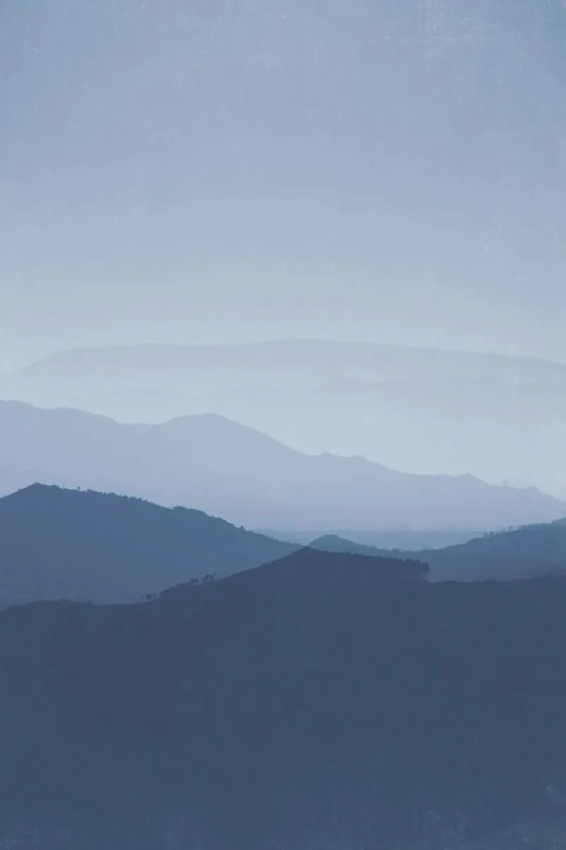 Morning Blues canvas by Ingrid Beddoes