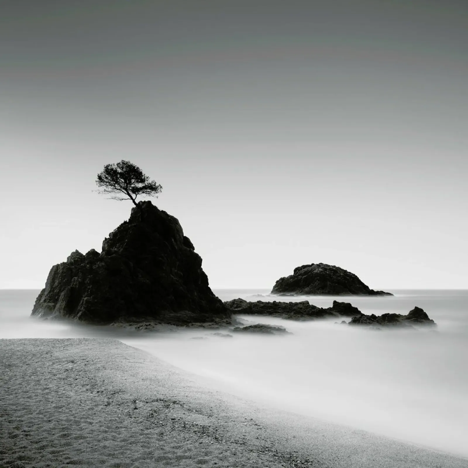 Árbol - Spanien pellicola backlit da Håggard Photography | Ronny Behnert