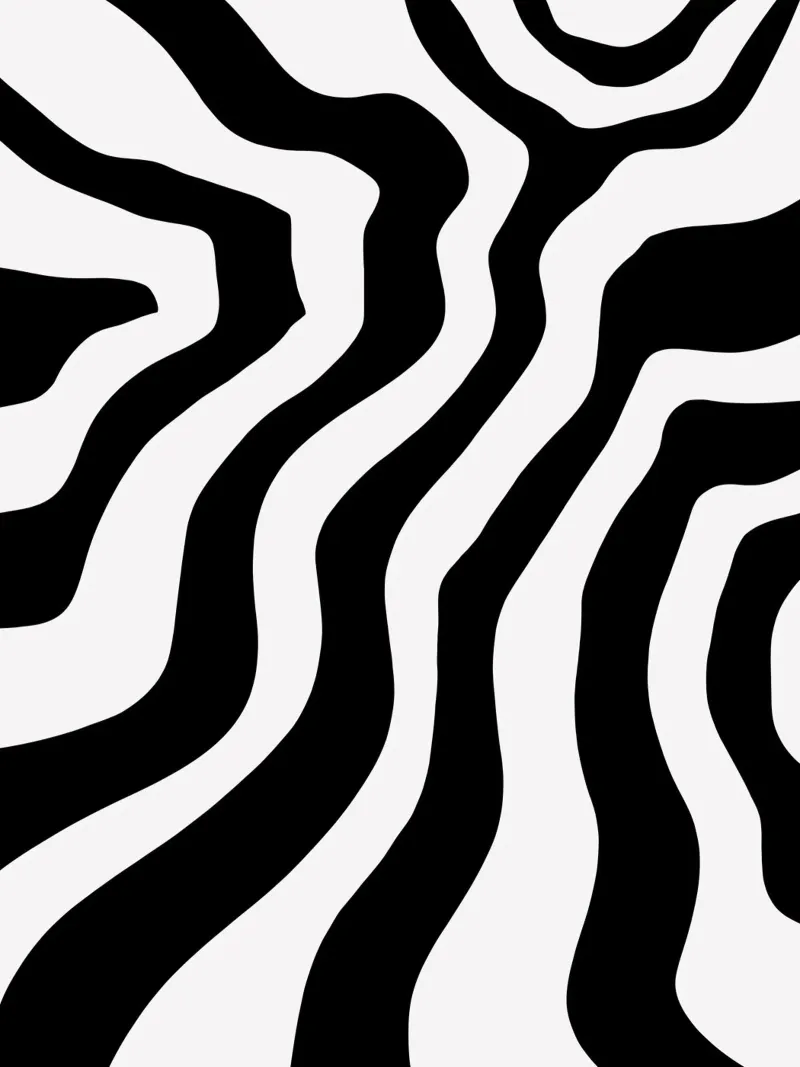 Bianco e nero minimalista alluminio dibond da MODERN NUANCE