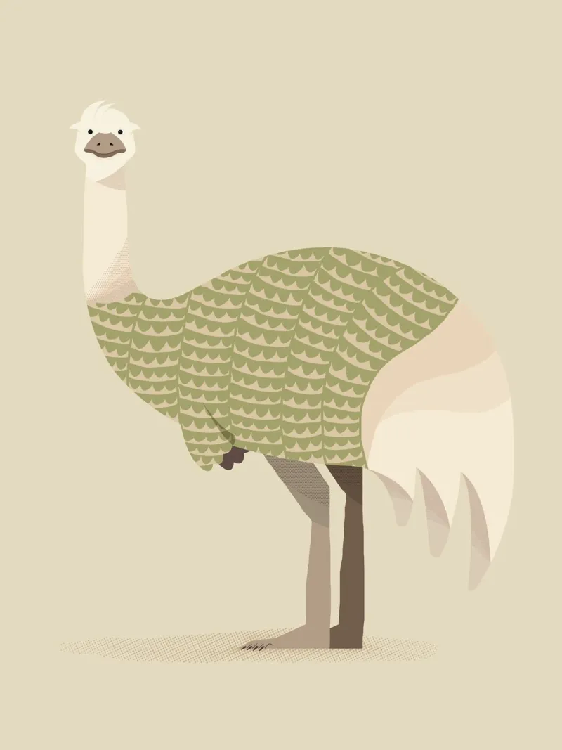Emu stravagante pellicola backlit da The Printed Sparrow