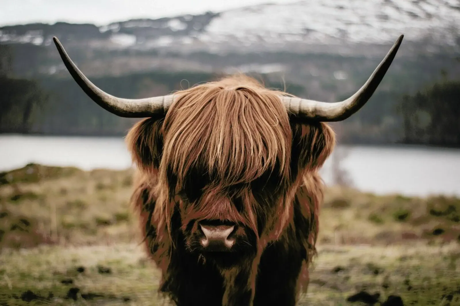 A Friendly Giant by @stefankuerzinger pellicola backlit da EyeEm Mobile GmbH