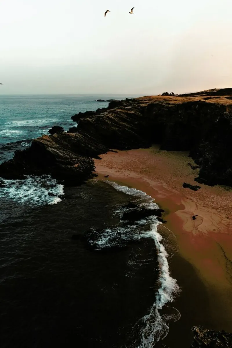 Portuguese Beach Coast with Birds pellicola backlit da Sebastian Hilgetag