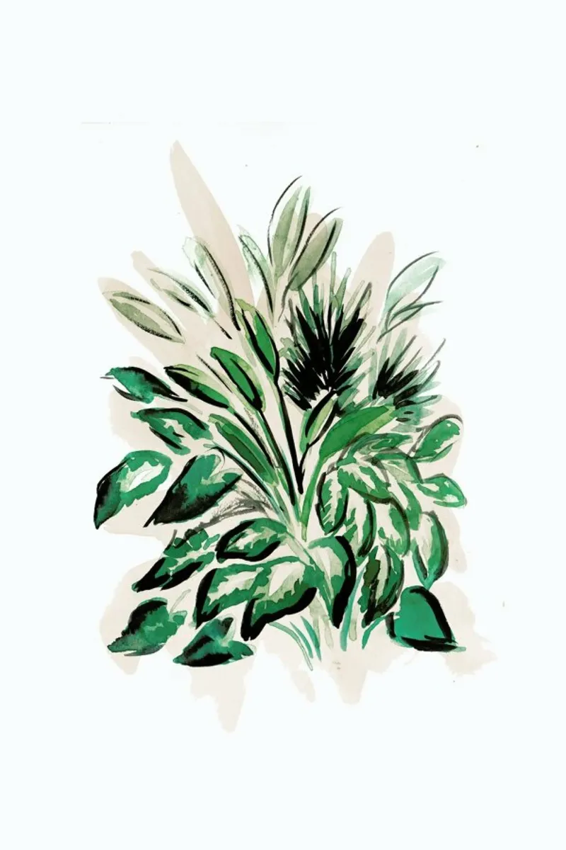Plants 02 carta hahnemühle da Farina Kuklinski