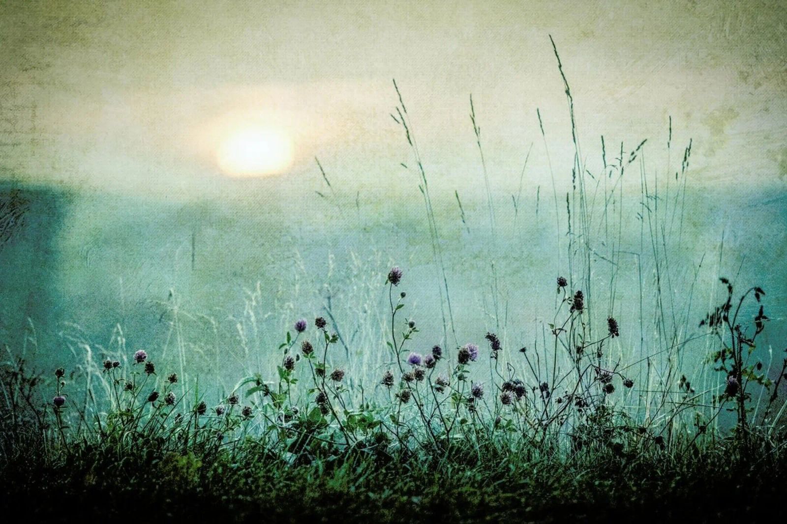 Autumn Sunrise - Åsmund Kværnstrøm Poster mit Kunststoffrahmen von Pictufy