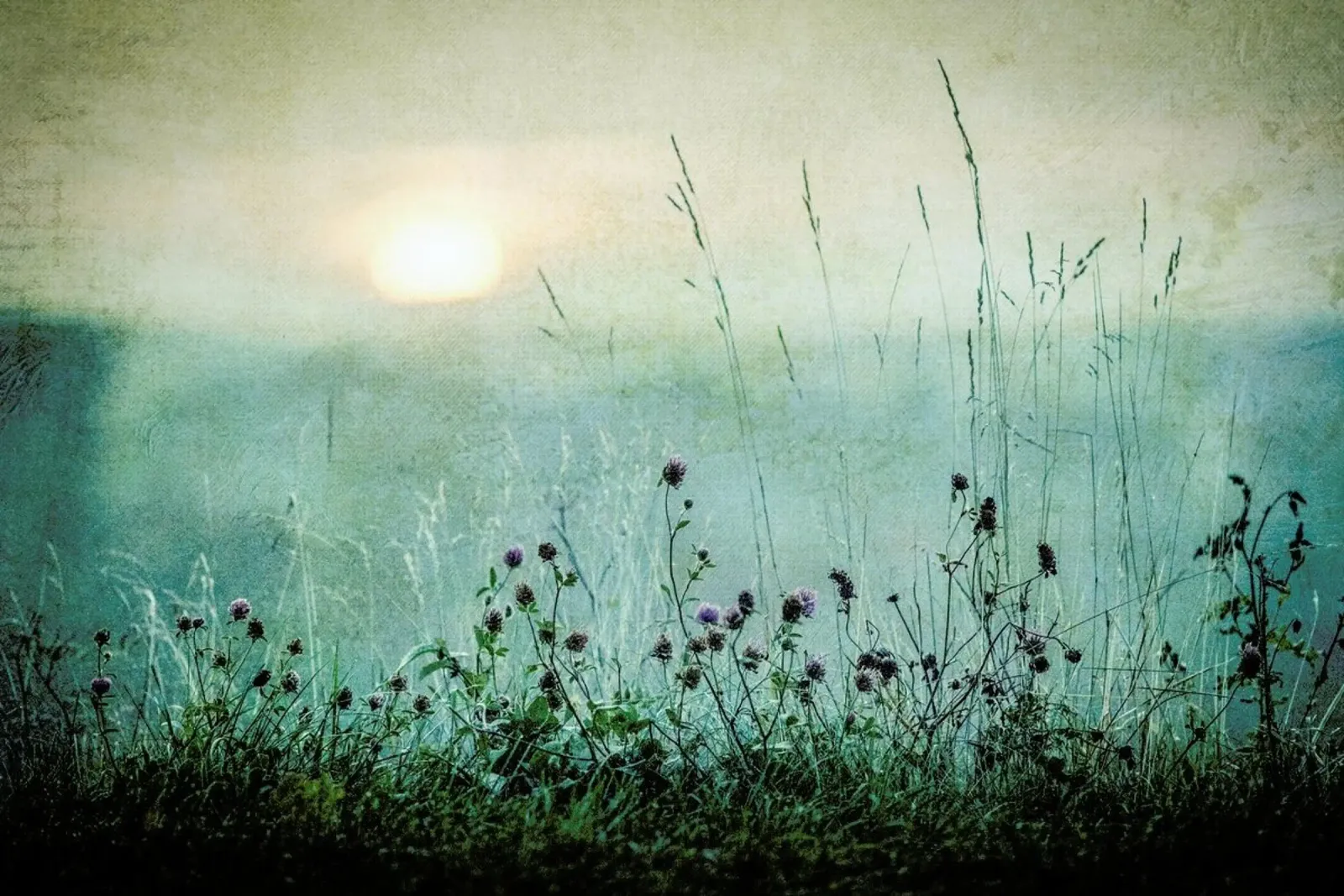 Autumn Sunrise - Åsmund Kværnstrøm poster by Pictufy