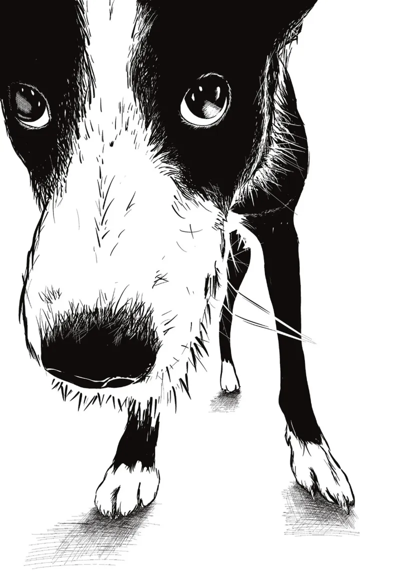 Ritratto di cane tela con Cornice a cassetta da Stella-Illustrations