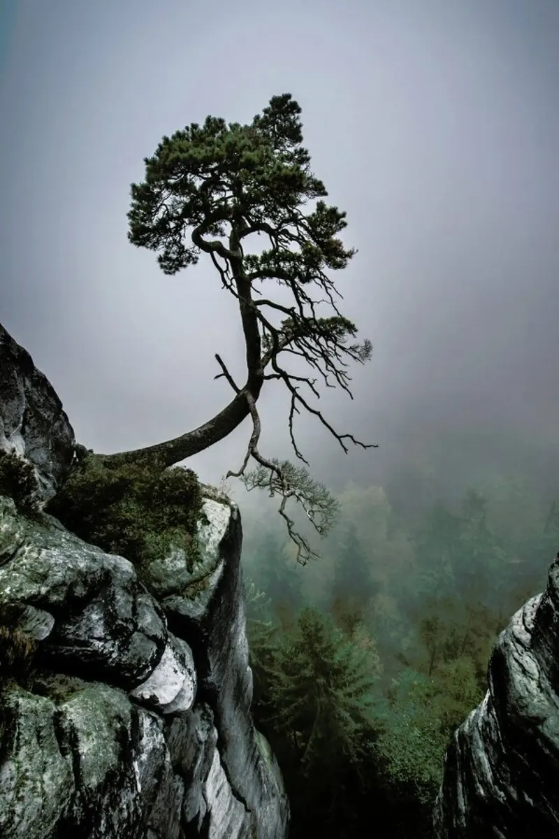 Against the Odds - Andreas Wonisch plexiglass da Pictufy