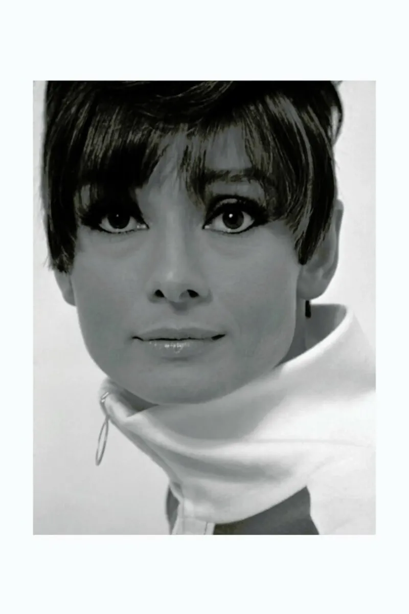 Audrey Hepburn, 1966 carta hahnemühle da Gallery Print and Art Limited