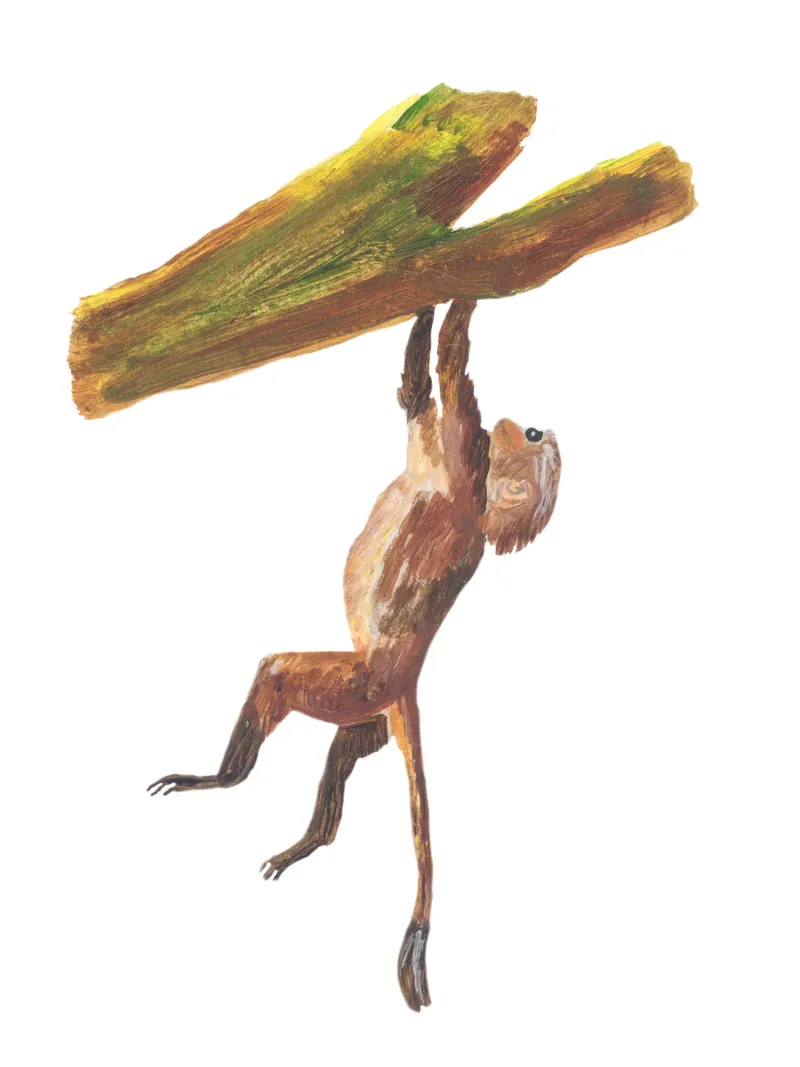 Monkey in the tree plexiglass da Femke Zwaan
