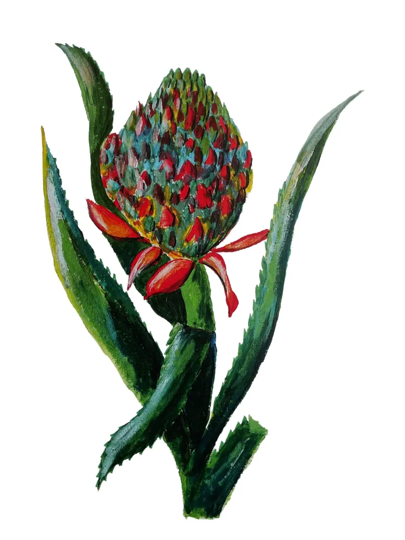 Flower poster con telaio in alluminio da Femke Zwaan