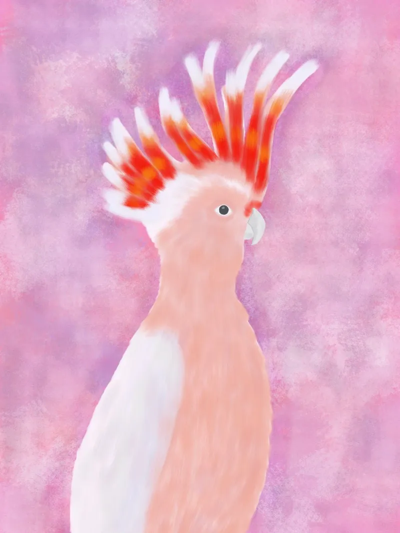 Uccello Cocatoo rosa alluminio dibond da Pictufy Sun & Spirit