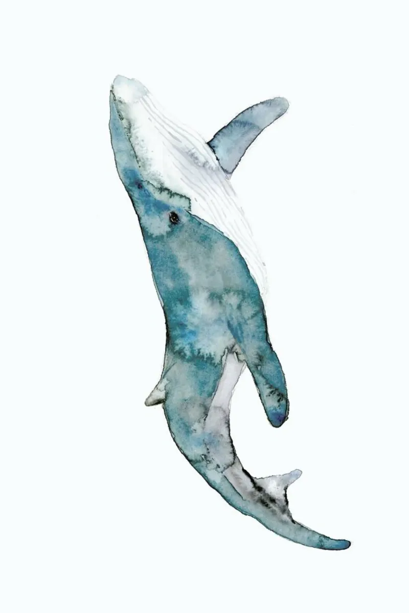 Whale poster con telaio in legno da Larissa van der Laan
