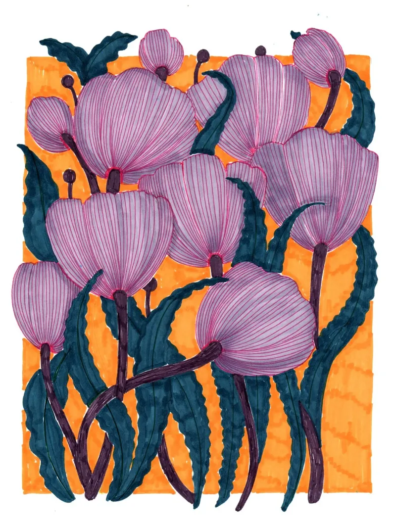 Tulipani viola carta hahnemühle da Pictufy Sun & Spirit