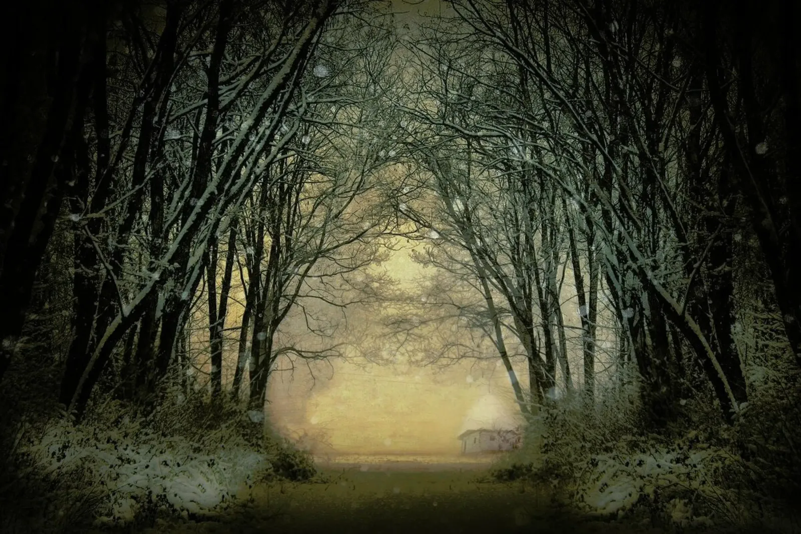 Winter Story - Adela Lia hahnemühle by Pictufy