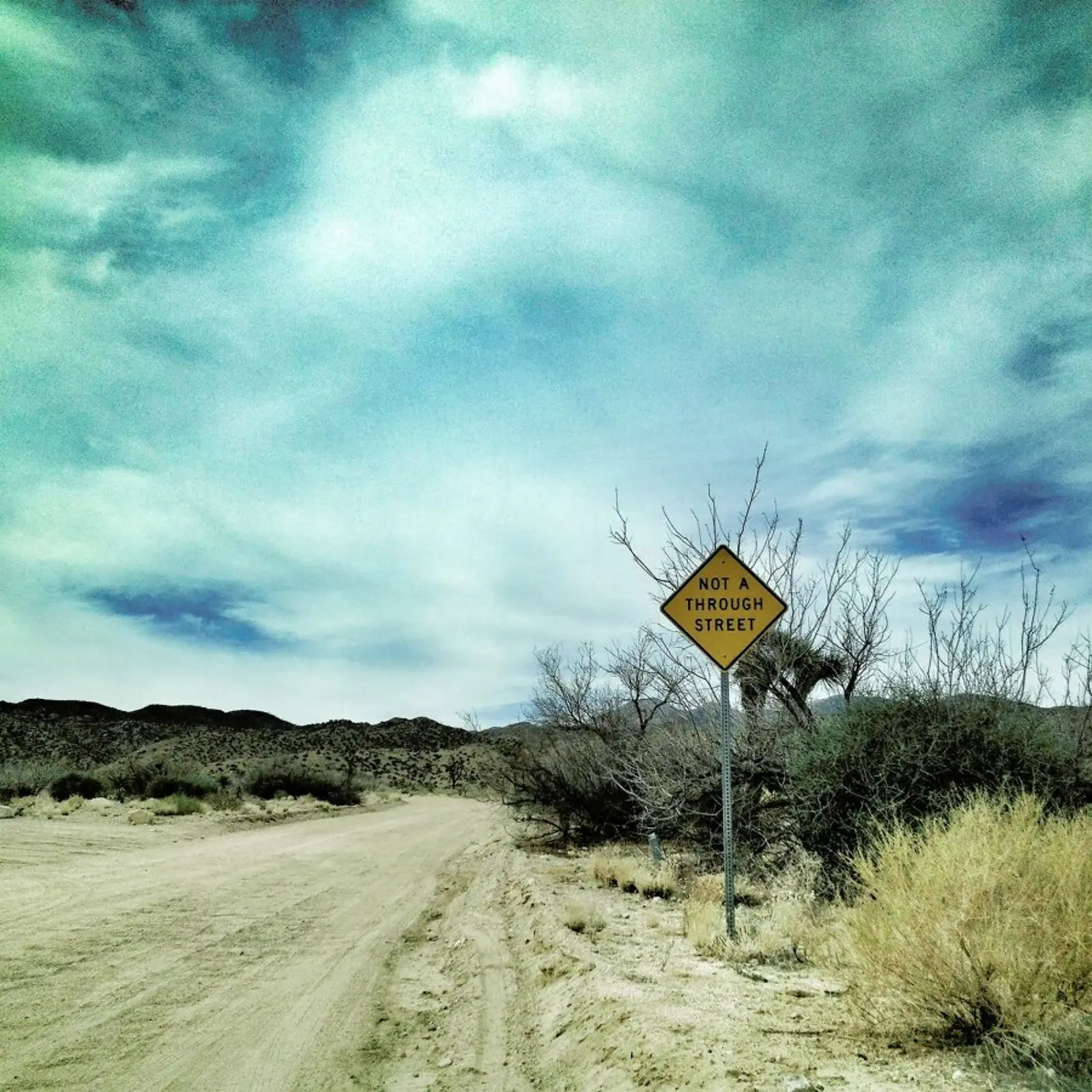 Desert Road pellicola backlit da Maria Sattrup