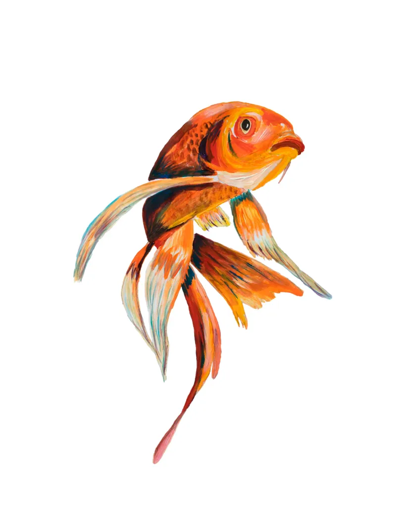 Koi fish canvas by Femke Zwaan