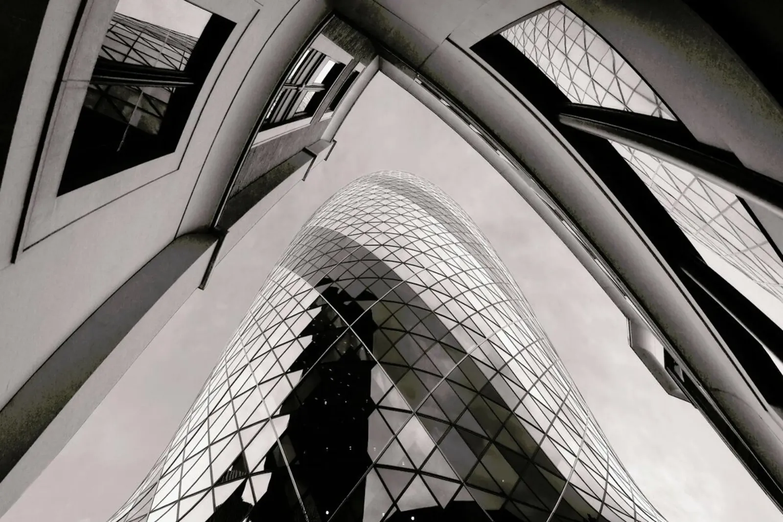 Gherkin alluminio dibond da Pictufy