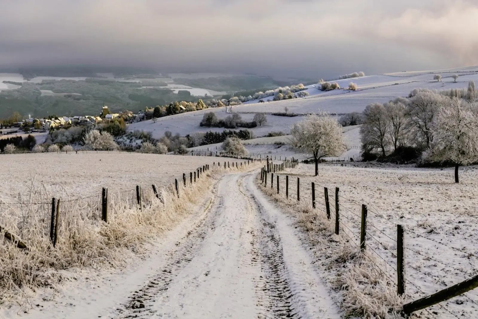 Winter Wonderland - Erik Proper alluminio dibond da Pictufy
