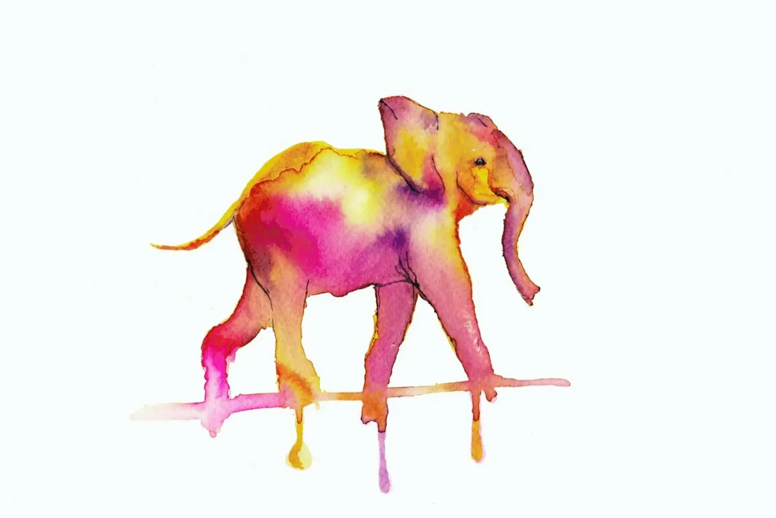 Elephant pellicola backlit da Larissa van der Laan
