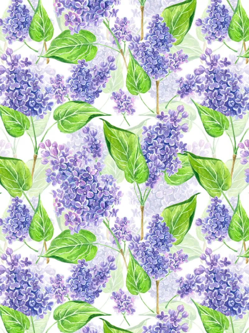 Violette lila bloemen op witte achtergrond canvas met Baklijst van Painted Nature