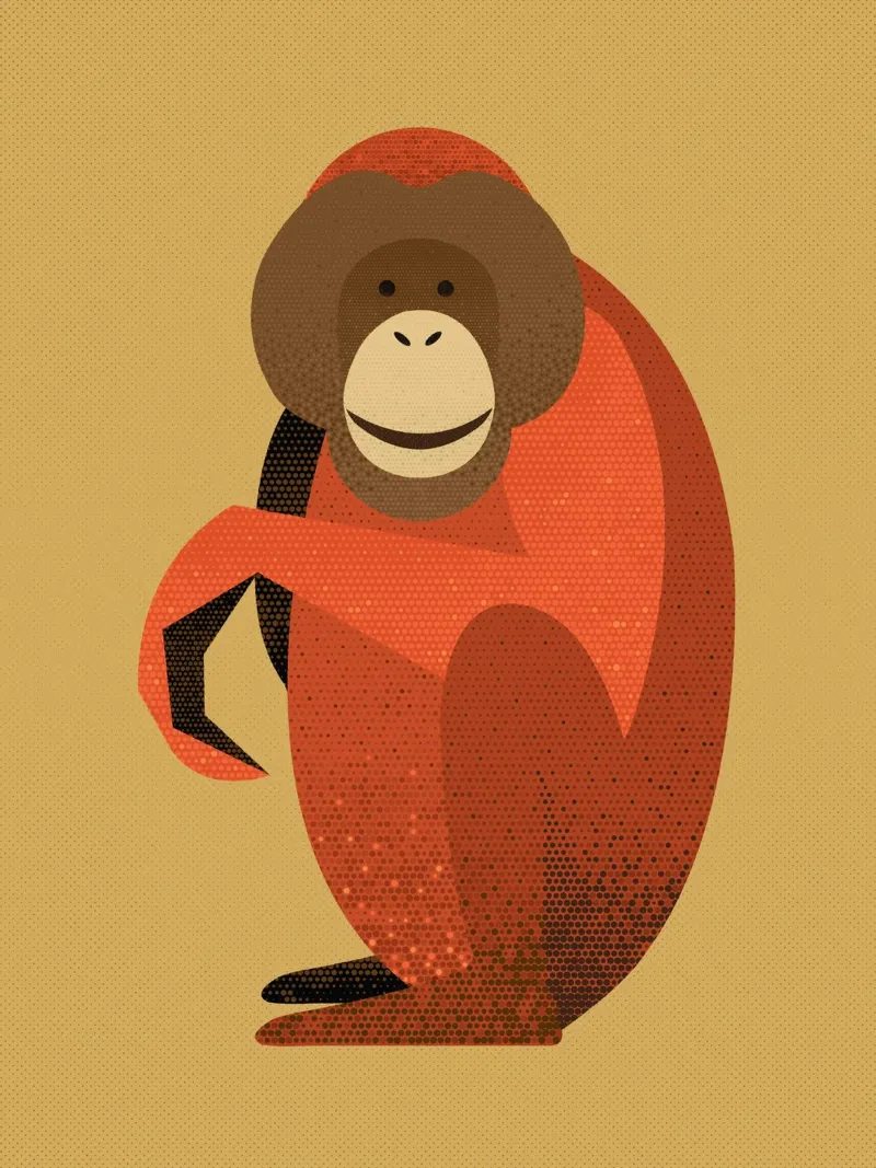 Orangutan capriccioso poster da The Printed Sparrow