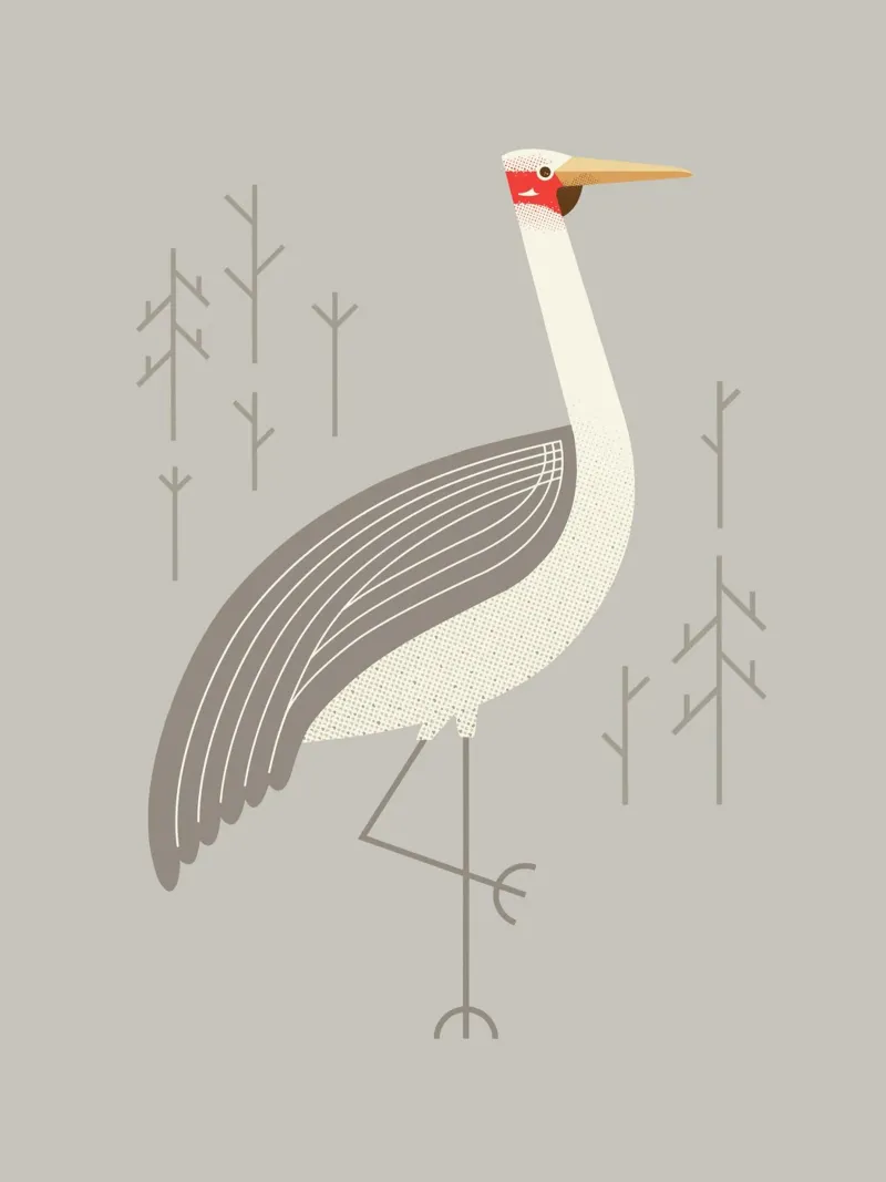 Brolga, uccello dell'Australia poster con telaio in alluminio da The Printed Sparrow
