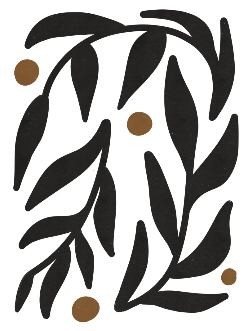 Minimalista astratto fiore Boho Mid Century modello nero pellicola backlit da This Wild Soul - Illustration