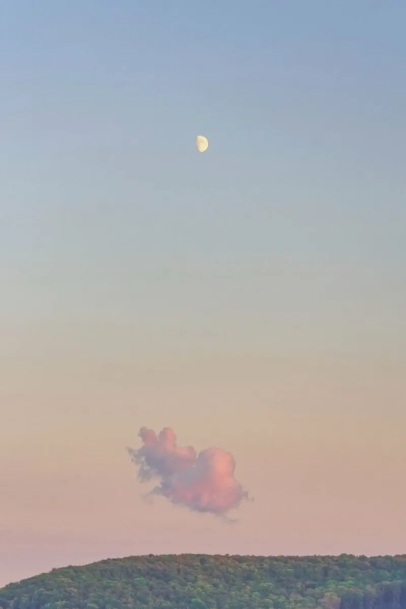 Forest Cloud Moon pellicola backlit da Nur Mut