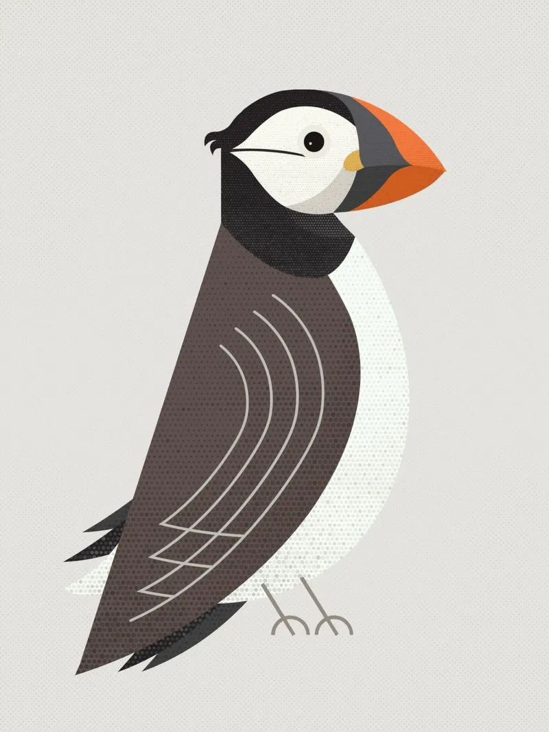 Launenhafter Papageientaucher Hahnemühle von The Printed Sparrow