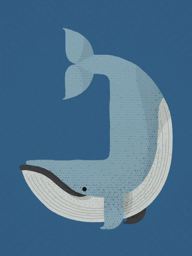 Balena blu capricciosa poster con telaio in legno da The Printed Sparrow