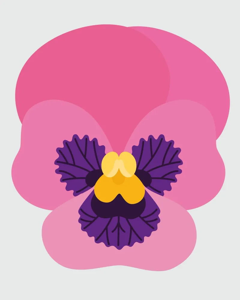 Viooltje canvas met Baklijst van Lidia Blomgren