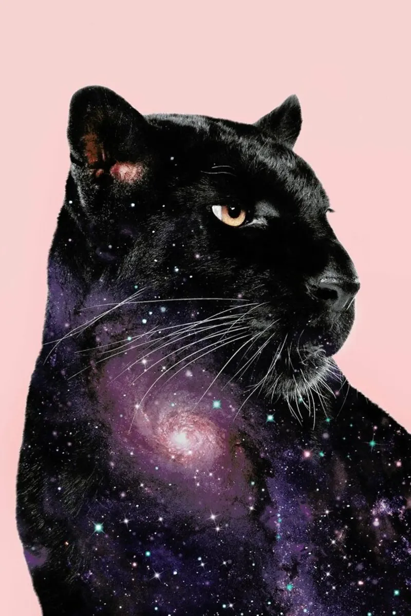Galaxy Panther poster da Jonas Loose
