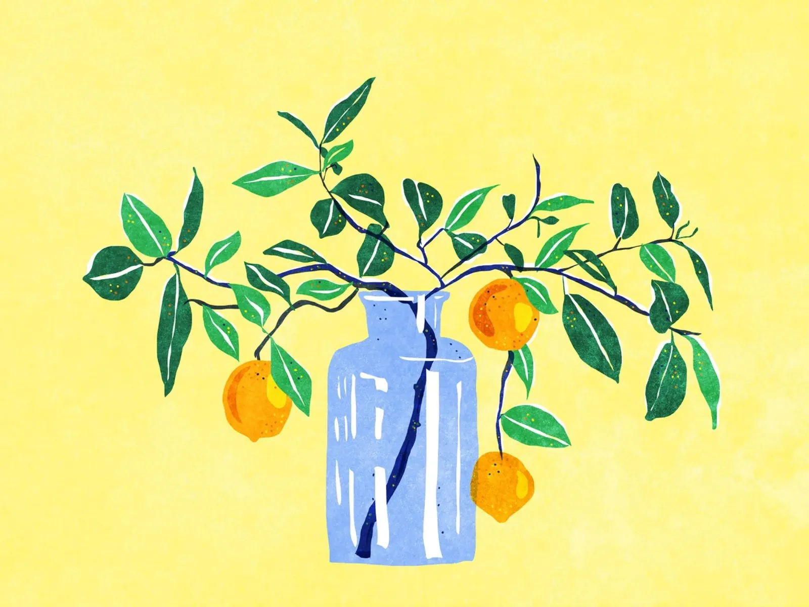 Piccolo albero d'arancio pellicola backlit da Illustration Raissa Oltmanns