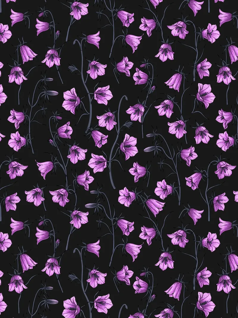 Mitternachtsglöckchen, Hasenglöckchen, Glockenblumen Hahnemühle von Painted Nature