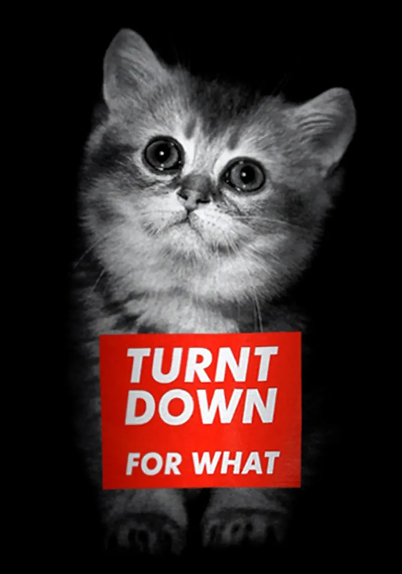 Turnt Down For What metacrilato de Ettyhmoz