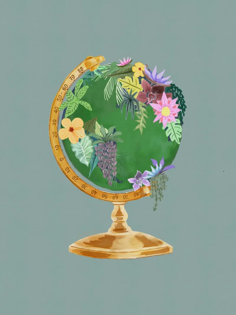 Fiori botanici Vintage World Globe Sfondo verde salvia pellicola backlit da This Wild Soul - Illustration