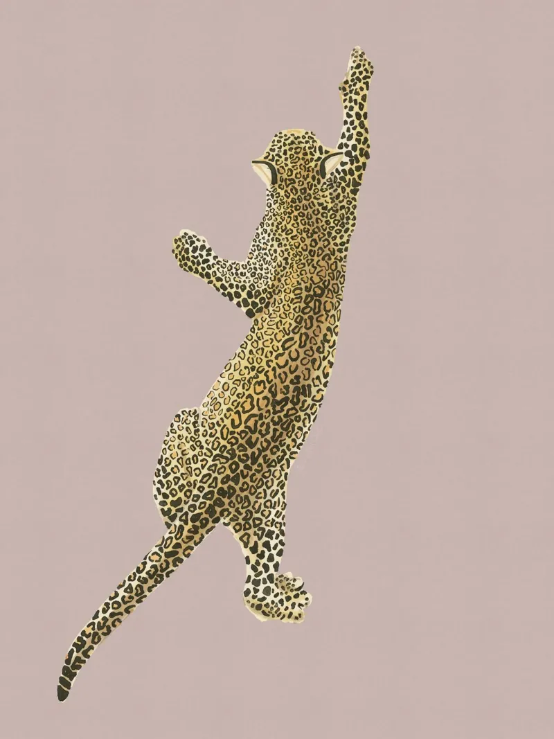 Vintage Leopard Jaguar Safari Big Cat rosa chiaro poster con telaio in plastica da This Wild Soul - Illustration