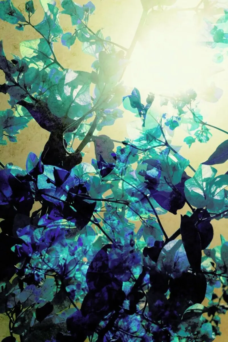 Sunny Blue alluminio dibond da Angelo Cerantola