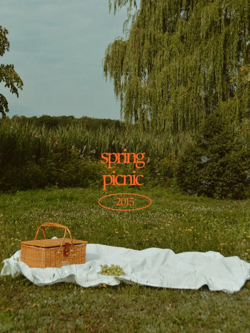 Spring Picnic poster da Dreamer10