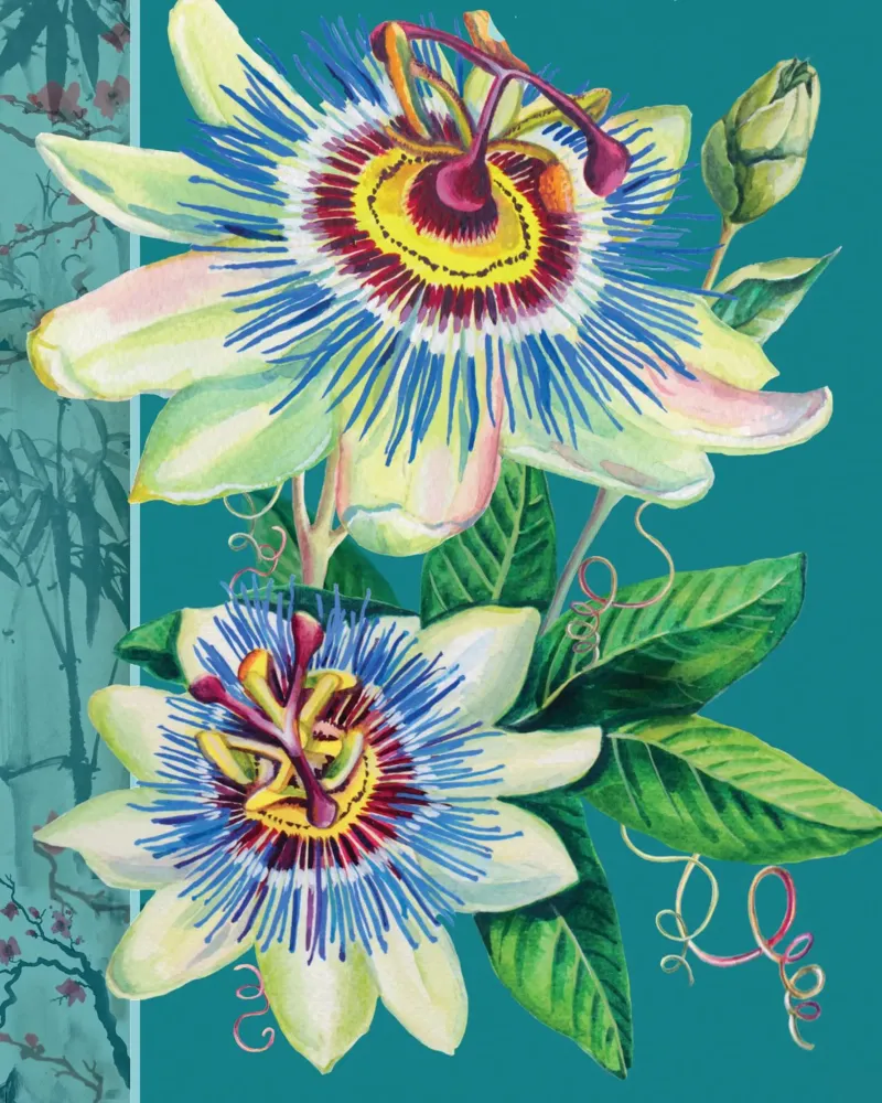 Passiflora poster con telaio in plastica da Rocket68