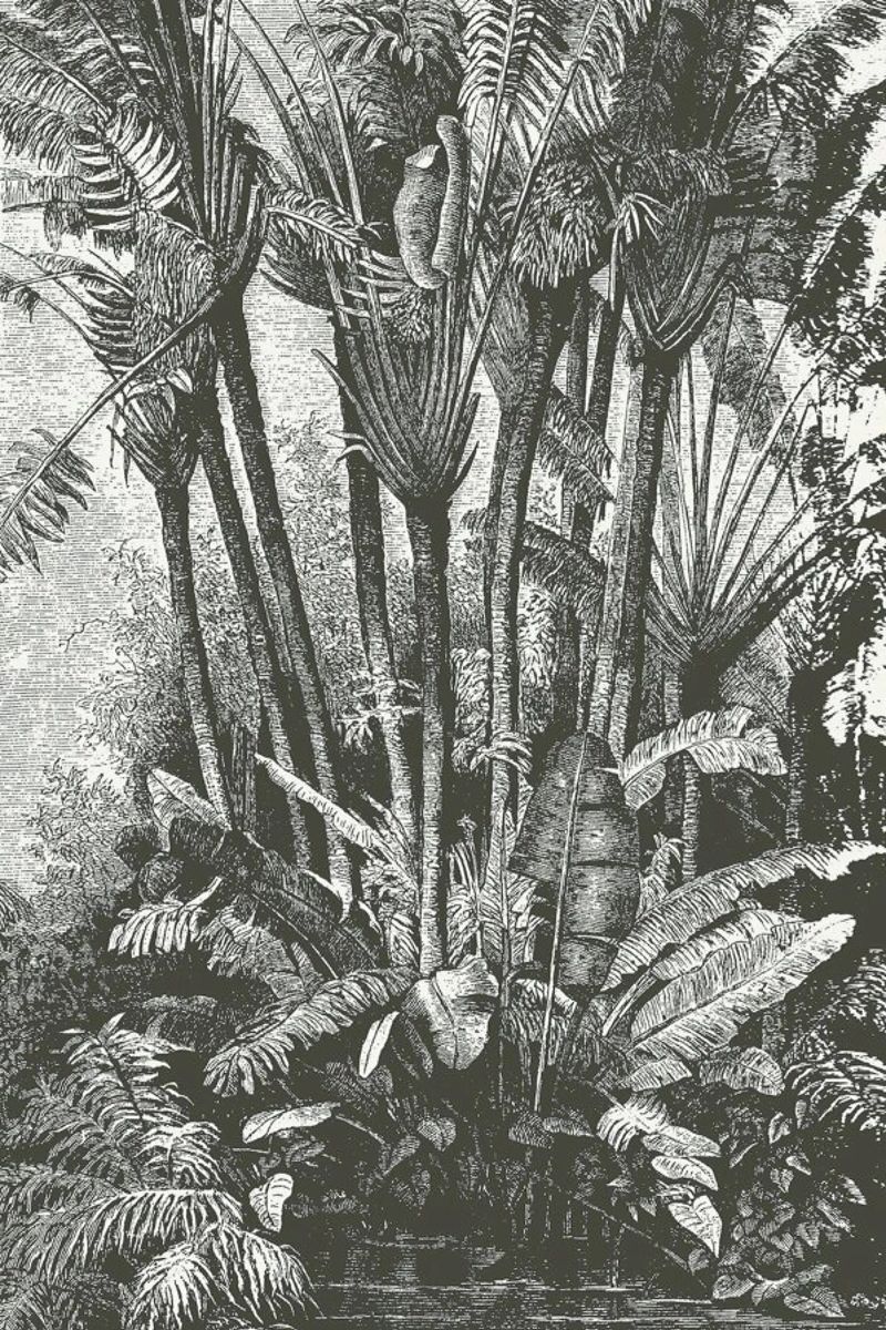 Palms in Water poster de Astër