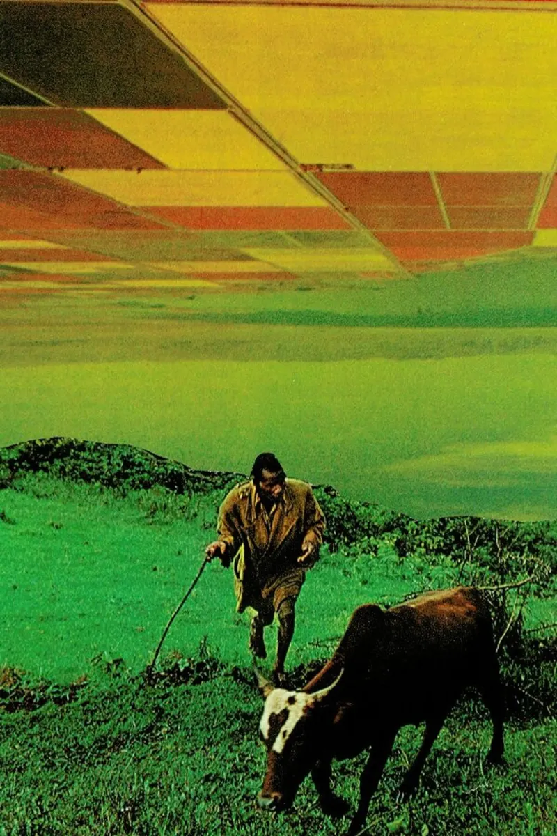 Shepherd of The Plains pellicola backlit da Jesse Treece