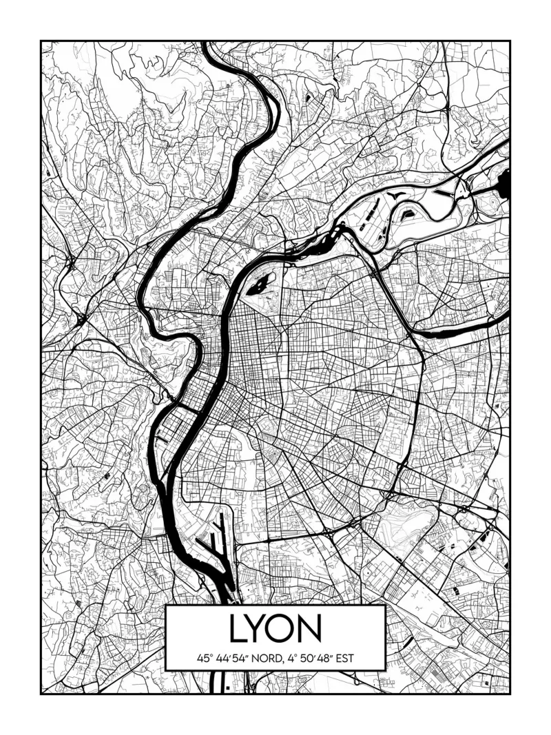 Pianta minimalista Lione poster con telaio in legno da Frame the World